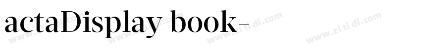 actaDisplay book字体转换